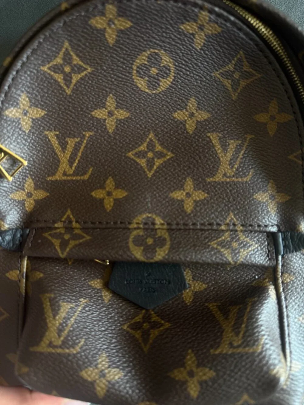 Louis Vuitton Palm Springs Mini Backpack with Gold Hardware